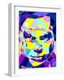 Dexter-Cristian Mielu-Framed Art Print