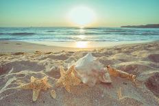 Starfish and Shells on the Beach at Sunrise-Deyan Georgiev-Framed Stretched Canvas