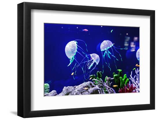 Premium Photographic Print, , large