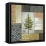 Dezo Tree II-Michael Marcon-Framed Stretched Canvas