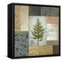 Dezo Tree II-Michael Marcon-Framed Stretched Canvas