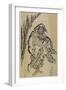 Dharma, Mid 18th-Mid 19th Century-Katsushika Hokusai-Framed Giclee Print