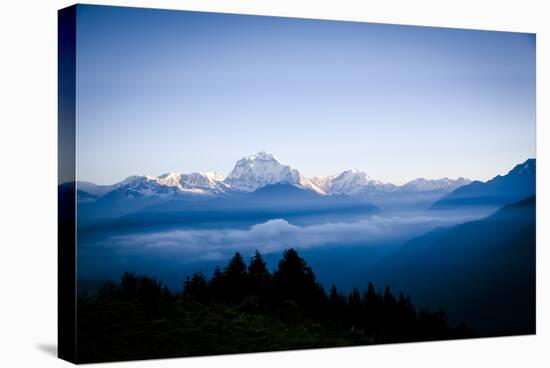 Dhaulagiri, an 8000 Meter Peak in the Morning Sun, Poon Hill, Annapurna Circuit, Ghorepani, Nepal-Dan Holz-Stretched Canvas