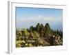 Dhaulagiri Himal, Annapurna Conservation Area, Dhawalagiri (Dhaulagiri), Nepal-Jochen Schlenker-Framed Photographic Print