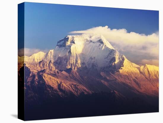 Dhaulagiri Himal Seen from Khopra, Annapurna Conservation Area, Dhawalagiri (Dhaulagiri), Nepal-Jochen Schlenker-Stretched Canvas