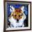 Dhole-null-Framed Art Print