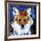 Dhole-null-Framed Art Print