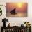 Dhow at Sunset-Lee Frost-Giclee Print displayed on a wall