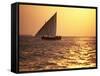 Dhow in Silhouette on the Indian Ocean at Sunset, off Stone Town, Zanzibar, Tanzania, East Africa-Lee Frost-Framed Stretched Canvas