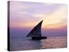 Dhow in Silhouette on the Indian Ocean at Sunset, off Stone Town, Zanzibar, Tanzania, East Africa-Lee Frost-Stretched Canvas