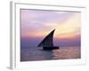 Dhow in Silhouette on the Indian Ocean at Sunset, off Stone Town, Zanzibar, Tanzania, East Africa-Lee Frost-Framed Photographic Print