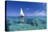 Dhow on Clear Seas-Paul Souders-Stretched Canvas