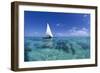 Dhow on Clear Seas-Paul Souders-Framed Photographic Print