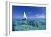 Dhow on Clear Seas-Paul Souders-Framed Photographic Print