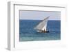 Dhow on Indian Ocean, Stone Town, Zanzibar, Tanzania-Alida Latham-Framed Photographic Print