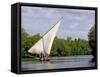 Dhow Sailing in Mangrove Channel, Lamu, Kenya-Alison Jones-Framed Stretched Canvas