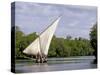 Dhow Sailing in Mangrove Channel, Lamu, Kenya-Alison Jones-Stretched Canvas