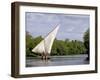 Dhow Sailing in Mangrove Channel, Lamu, Kenya-Alison Jones-Framed Photographic Print