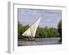 Dhow Sailing in Mangrove Channel, Lamu, Kenya-Alison Jones-Framed Photographic Print