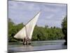 Dhow Sailing in Mangrove Channel, Lamu, Kenya-Alison Jones-Mounted Photographic Print