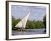 Dhow Sailing in Mangrove Channel, Lamu, Kenya-Alison Jones-Framed Photographic Print