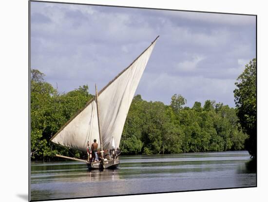 Dhow Sailing in Mangrove Channel, Lamu, Kenya-Alison Jones-Mounted Photographic Print