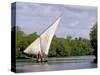 Dhow Sailing in Mangrove Channel, Lamu, Kenya-Alison Jones-Stretched Canvas