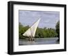 Dhow Sailing in Mangrove Channel, Lamu, Kenya-Alison Jones-Framed Photographic Print