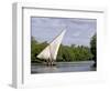 Dhow Sailing in Mangrove Channel, Lamu, Kenya-Alison Jones-Framed Photographic Print