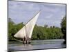 Dhow Sailing in Mangrove Channel, Lamu, Kenya-Alison Jones-Mounted Photographic Print