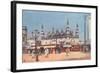 Dhurrumtollah Masjid, Calcutta, India-null-Framed Art Print