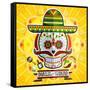 Dia De Los Muertos Day of the Dead Skull-escova-Framed Stretched Canvas