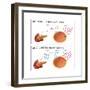 Diabetes I & II-Monica Schroeder-Framed Art Print