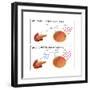 Diabetes I & II-Monica Schroeder-Framed Art Print