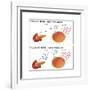 Diabetes I & II-Monica Schroeder-Framed Art Print