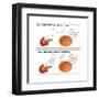 Diabetes I & II-Monica Schroeder-Framed Art Print