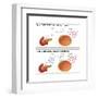 Diabetes I & II-Monica Schroeder-Framed Art Print