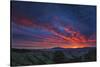 Diablo Before Dawn - Sunrise Magic Bay Area California-Vincent James-Stretched Canvas