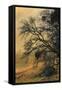 Diablo Tree Design-Vincent James-Framed Stretched Canvas