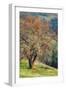 Diablo Winter Oak-Vincent James-Framed Photographic Print