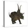 Diabloceratops, a Herbivorous Dinosaur from the Cretaceous Period-null-Stretched Canvas
