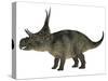 Diabloceratops Dinosaur-Stocktrek Images-Stretched Canvas