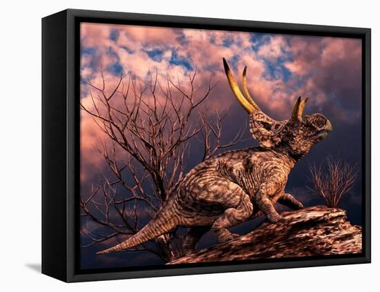 Diabloceratops Was a Ceratopsian Dinosaur from the Cretaceous Period-null-Framed Stretched Canvas