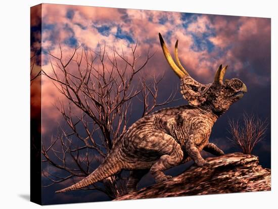 Diabloceratops Was a Ceratopsian Dinosaur from the Cretaceous Period-null-Stretched Canvas