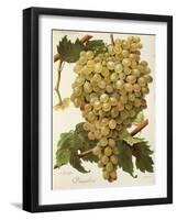 Diagalves Grape-A. Kreyder-Framed Giclee Print