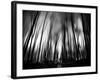 Diagona-Josh Adamski-Framed Photographic Print