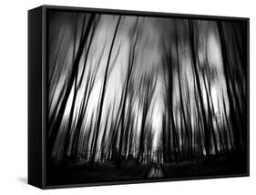 Diagona-Josh Adamski-Framed Stretched Canvas