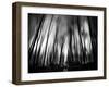 Diagona-Josh Adamski-Framed Photographic Print