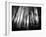 Diagona-Josh Adamski-Framed Photographic Print