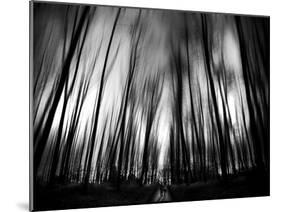 Diagona-Josh Adamski-Mounted Photographic Print